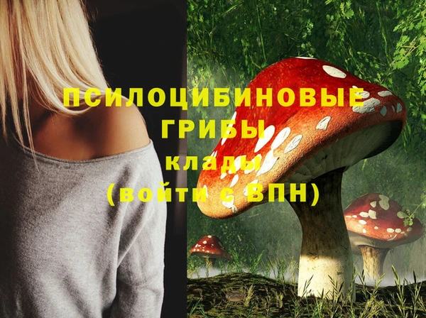 бошки Мегион