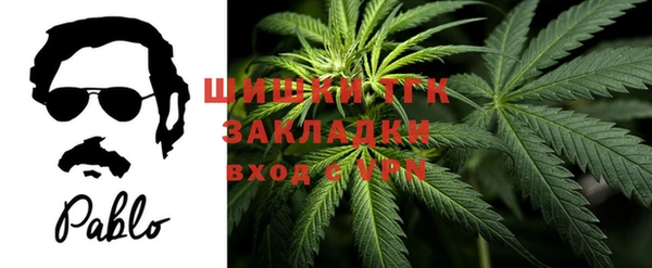 бошки Мегион