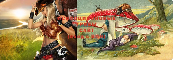 PSILOCYBIN Магас
