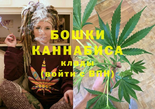 прущие крисы Магадан