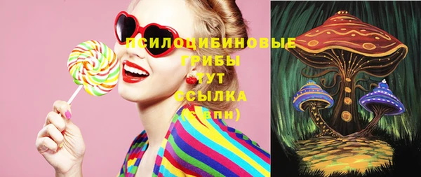 бошки Медвежьегорск