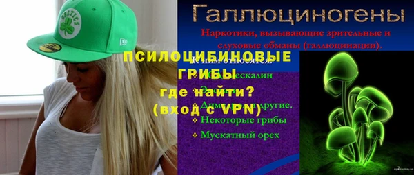 PSILOCYBIN Магас