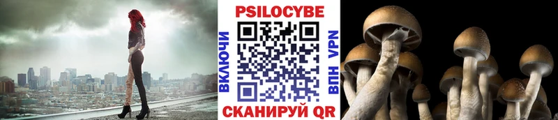 kraken как войти наркошоп Электрогорск Псилоцибиновые грибы мицелий