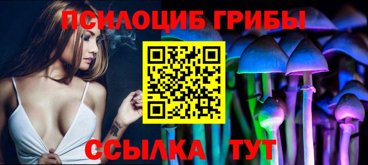Псилоцибиновые грибы мухоморы Электрогорск
